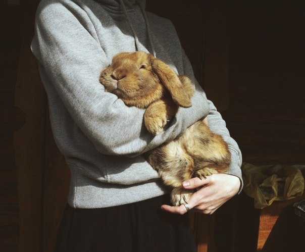 Ольга Луцевич